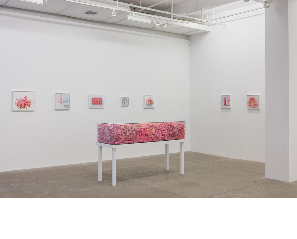 Installation view