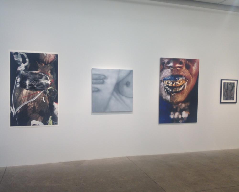 Installation view from left: Katy Martin, Betty Tompkins, Marilyn Minter and Robert Mapplethorpe