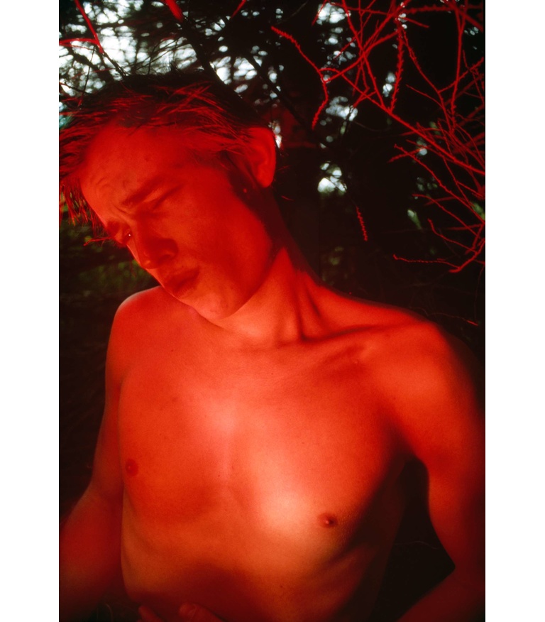 Red Boy in the Woods, c. 1978