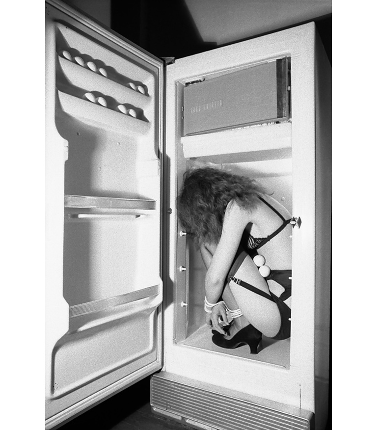 Refrigerator, 1978