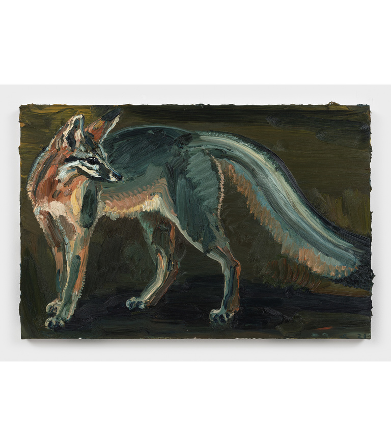 Night Fox #2