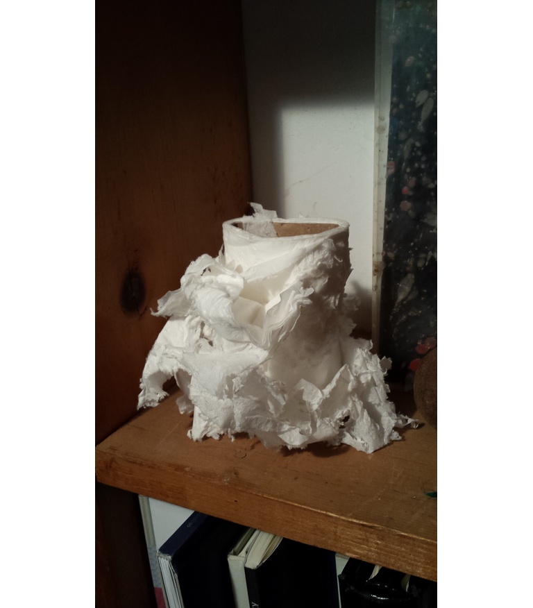 Baroque Sculpture, Toilet Paper Roll, 2016