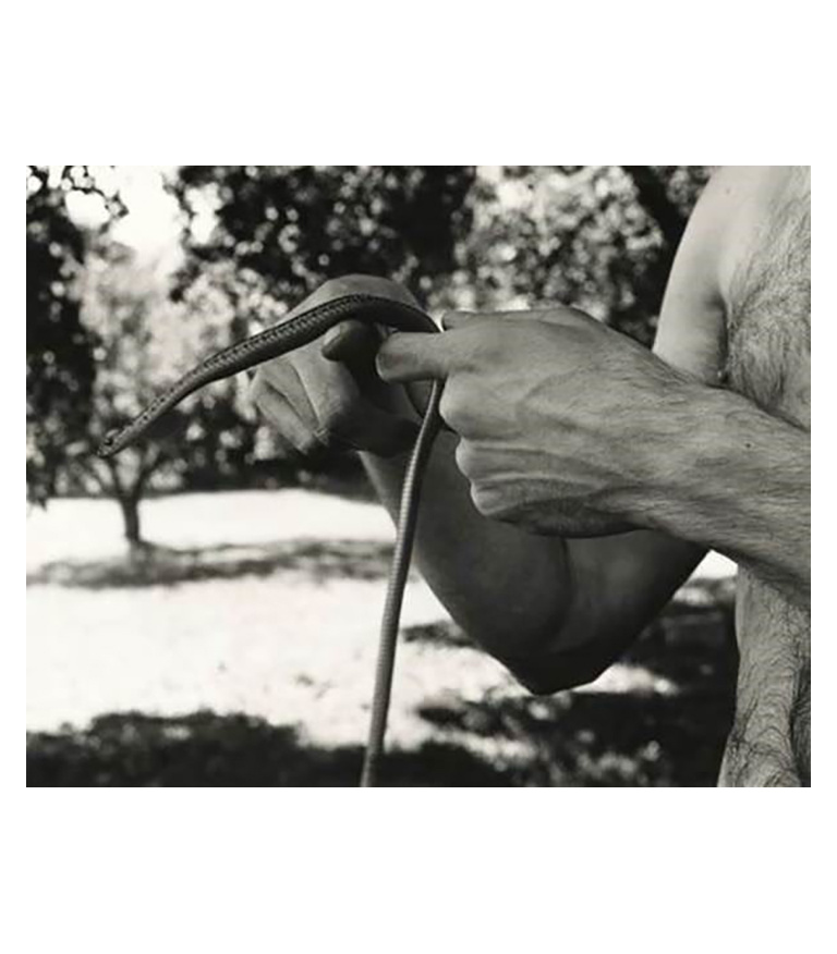 David Wojnarowicz's Hand with Snake