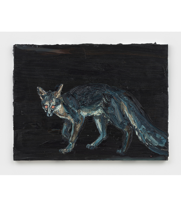 Tupelo's Fox, 2019