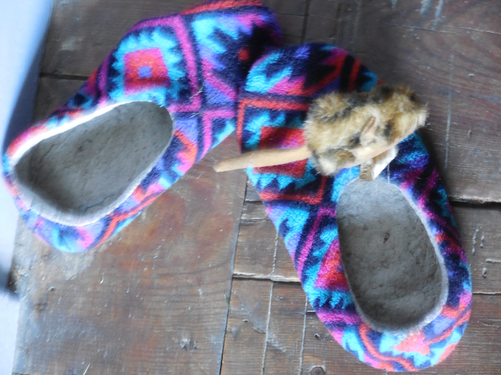 Assemblage; slippers with toy mouse, 2015