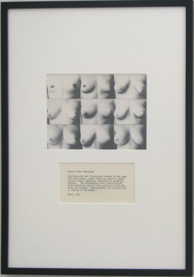 Breast Forms Permutated, 1972/2008