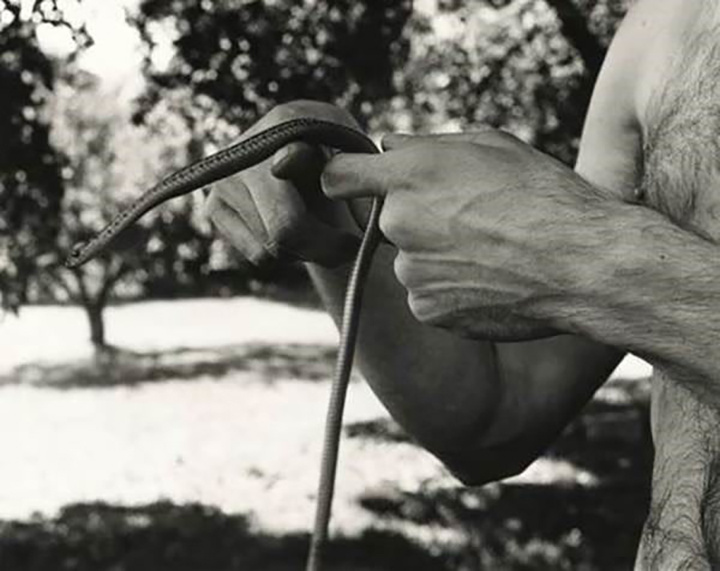 David Wojnarowicz's Hand with Snake