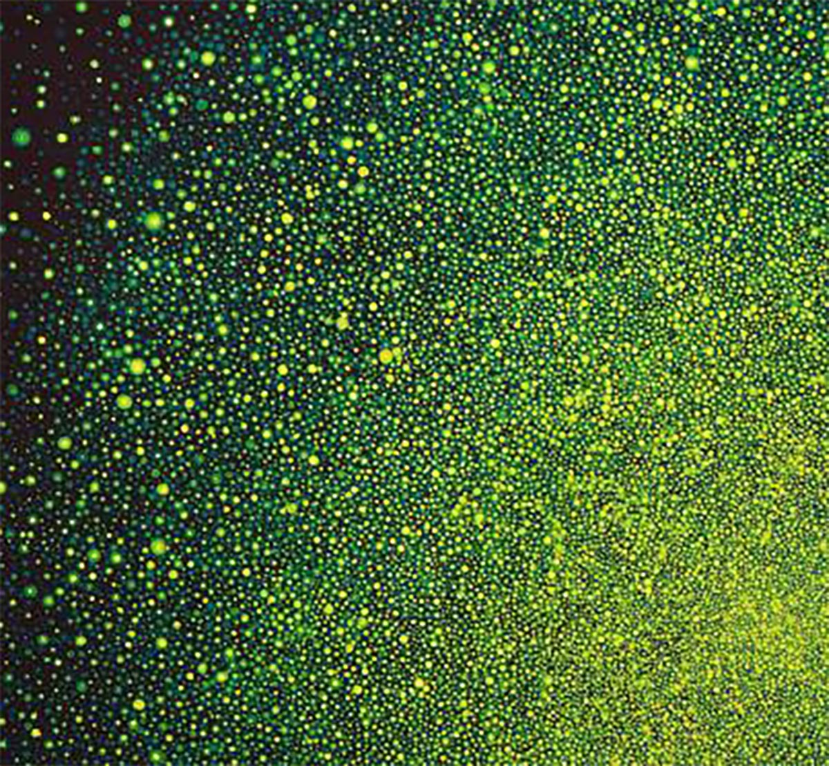 Karen Arm, Untitled (Green and Yellow Sun on Black Red): Detail View